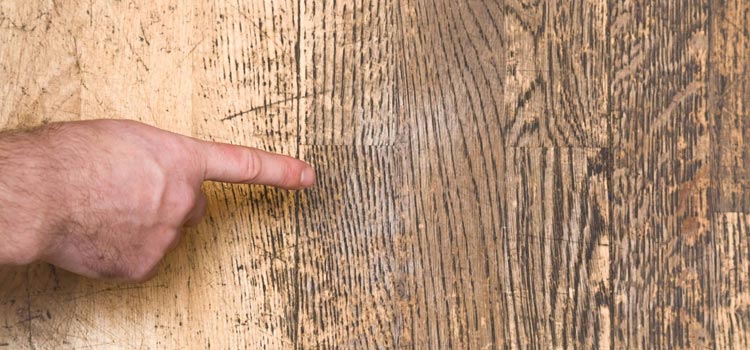 Wood Door Scratch Repair in San Jose